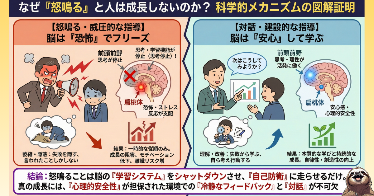 【図解】怒鳴る指導が人を成長させない科学的理由：恐怖を感じると脳の扁桃体が暴走し、思考や学習を司る前頭前野が停止（思考停止）するメカニズム。心理的安全性が確保された対話こそが脳を活性化させる