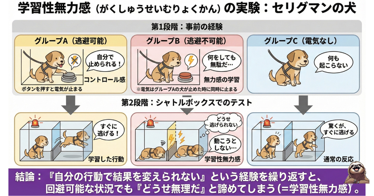【図解】学習性無力感（セリグマンの犬）の実験とは：「どうせ無理」と諦めてしまう心理メカニズムの解説。回避不可能なストレスを与えられた犬が、逃げられる状況でも行動しなくなるプロセスを示した心理学イラスト