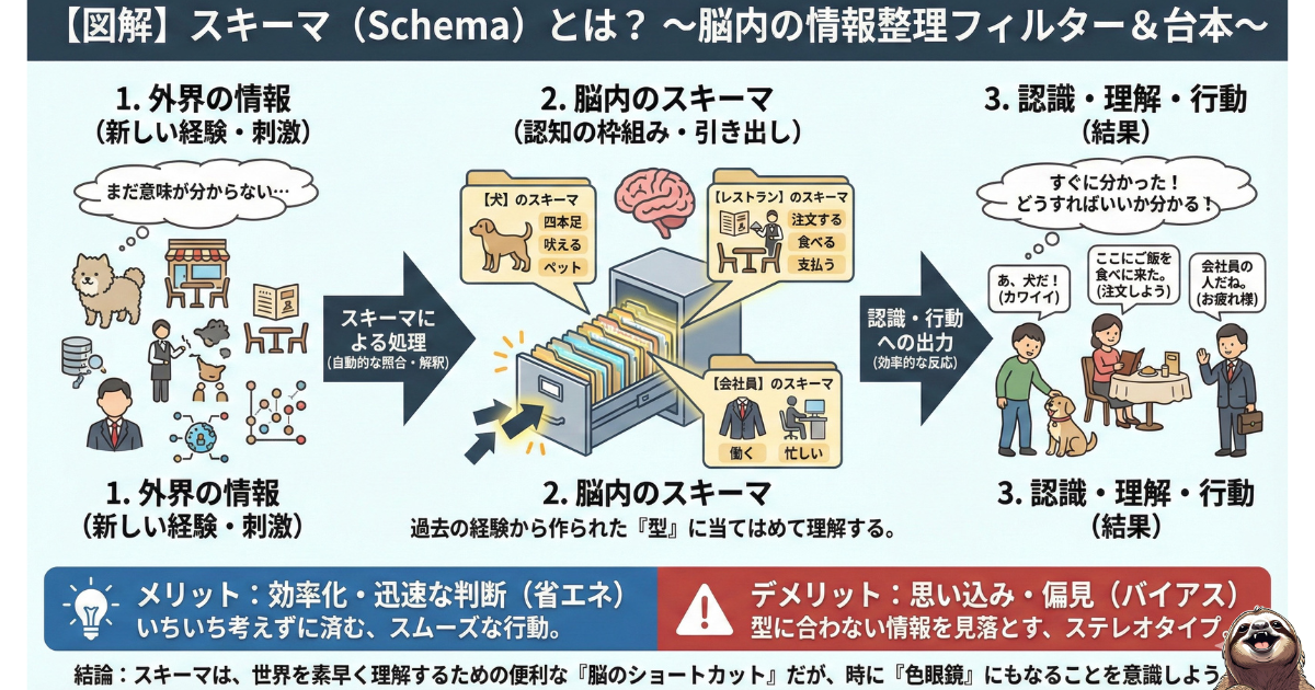 【図解】心理学における「スキーマ(Schema)」とは:脳内の情報整理フィルター&台本の解説。外界の情報を過去の経験(ファイル)に当てはめて素早く処理する「脳のショートカット」機能と、それが生む「思い込み(バイアス)」の仕組み
