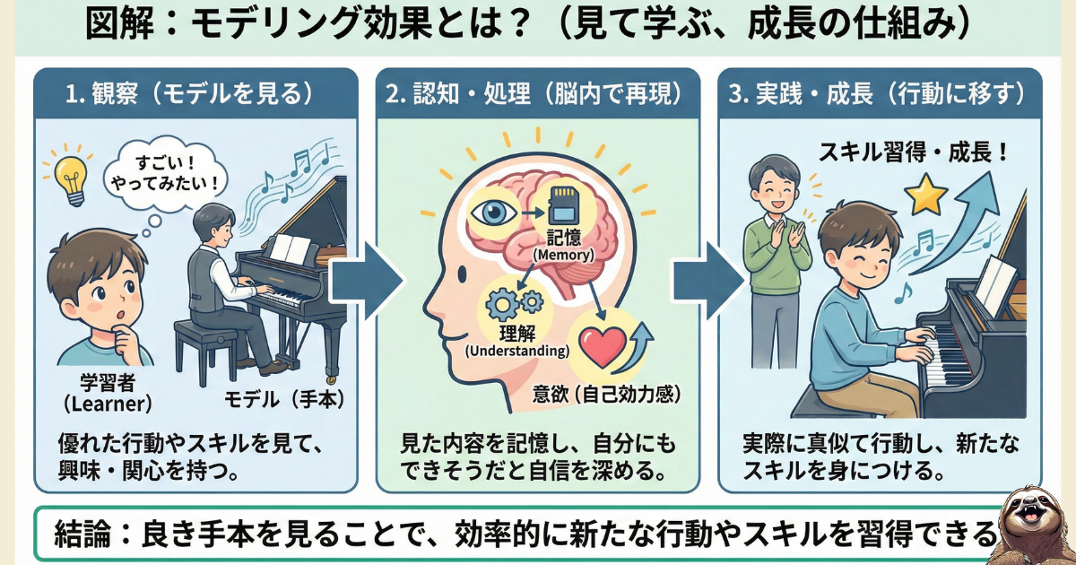 【図解】モデリング効果（観察学習）のメカニズム：1.観察（モデルを見る）、2.認知・処理（脳内で記憶・理解）、3.実践・成長（行動に移す）という3ステップで、他人の行動を模倣し効率的にスキルを習得する心理学の仕組み